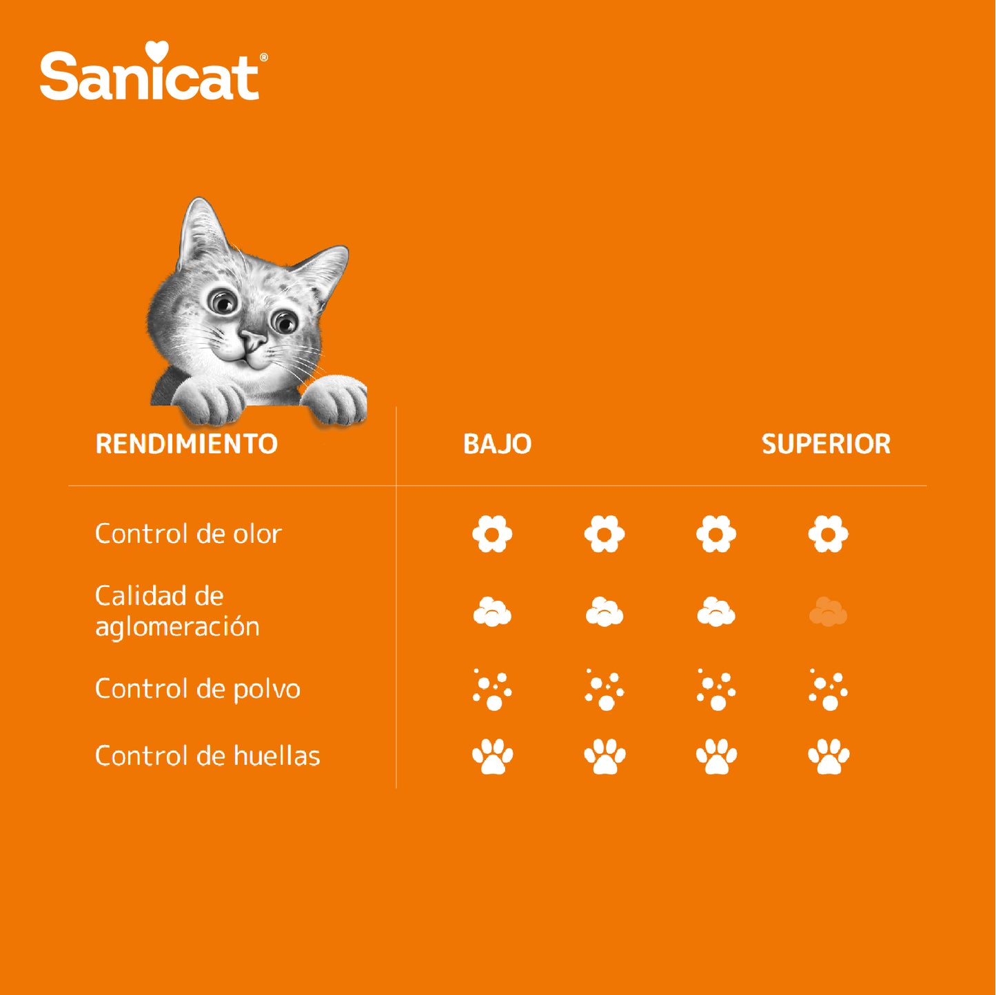 Sanicat aglomerante, aroma vainilla y mandarina 8L