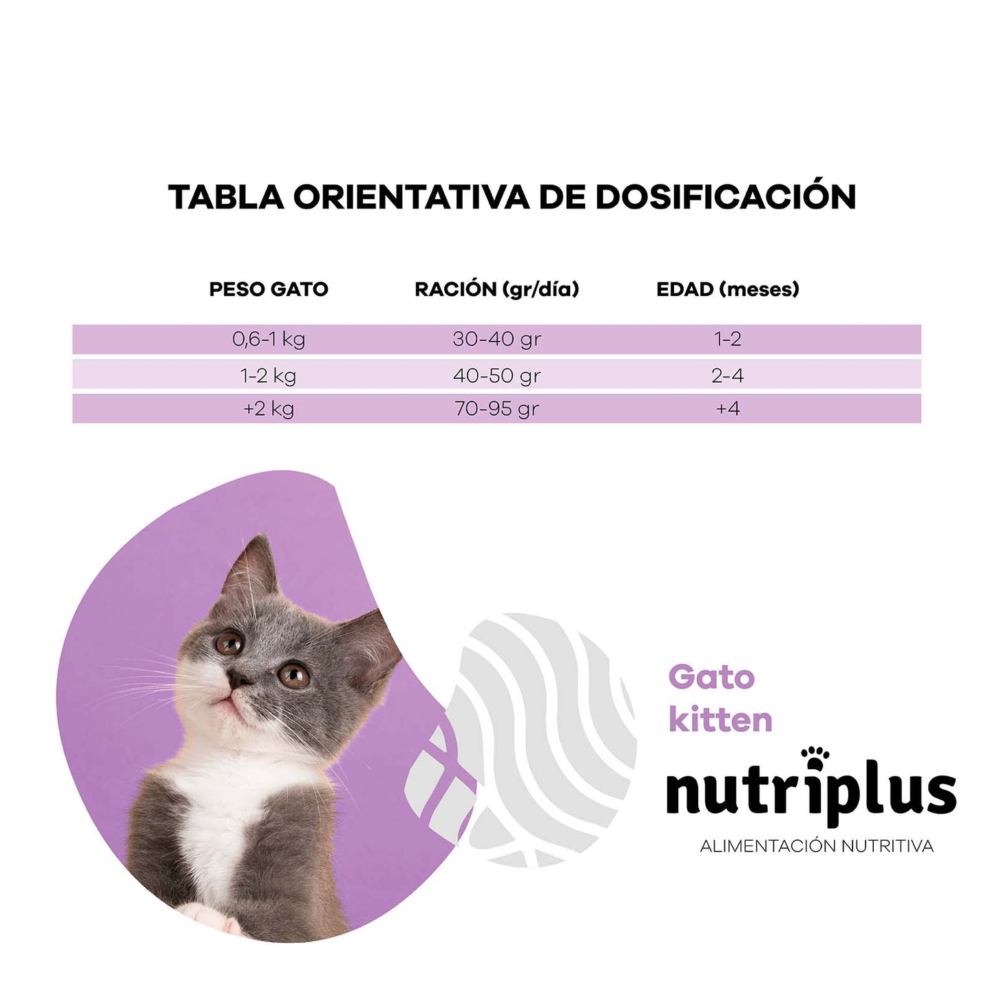 Nutriplus kitten