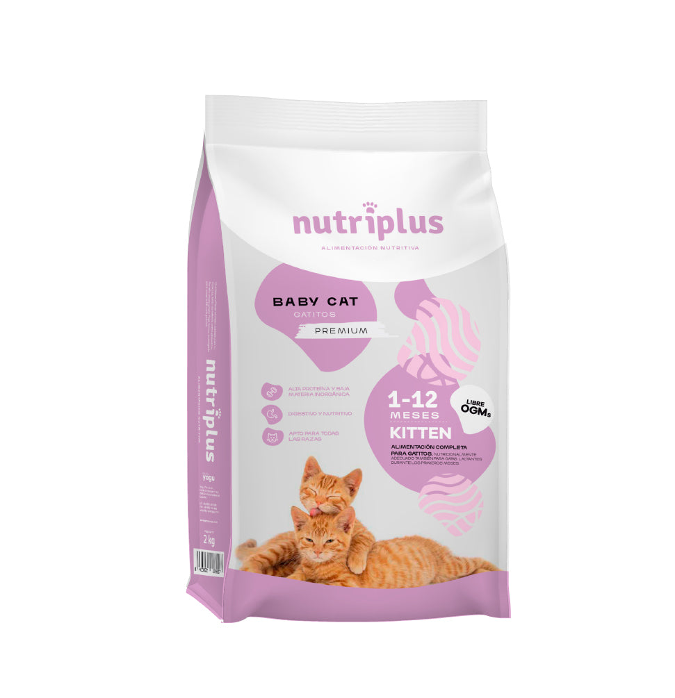 Nutriplus kitten